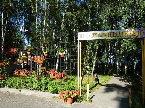 Берег весёлых Робинзонов 2018