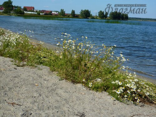 Берег весёлых Робинзонов 2018