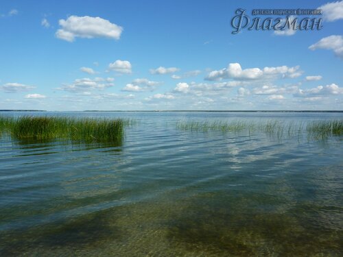 Берег весёлых Робинзонов 2018