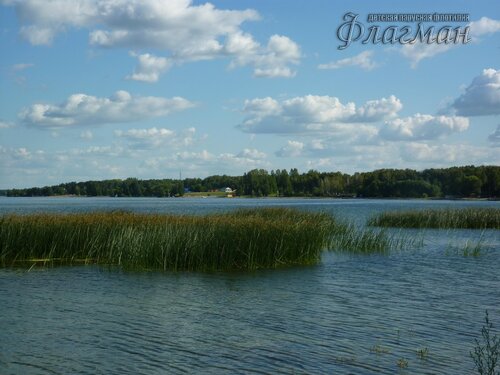 Берег весёлых Робинзонов 2018