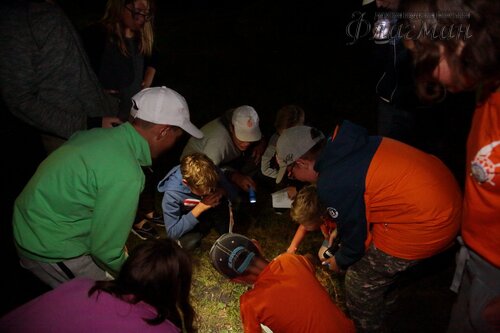 Берег весёлых Робинзонов 2018