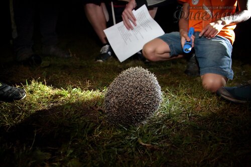 Берег весёлых Робинзонов 2018