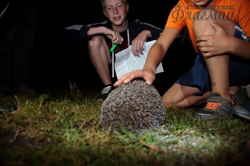 Берег весёлых Робинзонов 2018