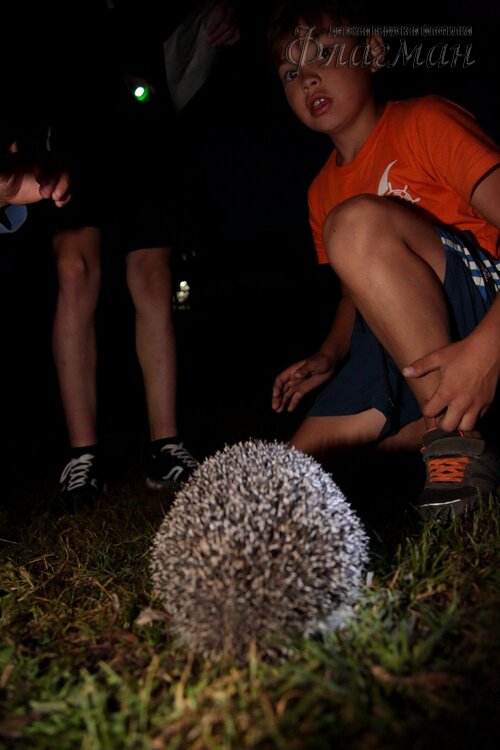 Берег весёлых Робинзонов 2018