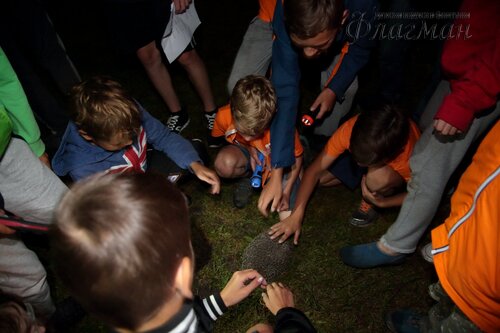 Берег весёлых Робинзонов 2018