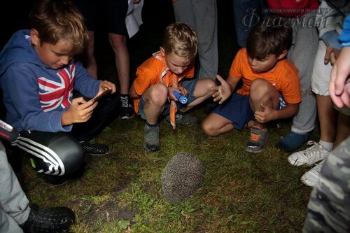 Берег весёлых Робинзонов 2018