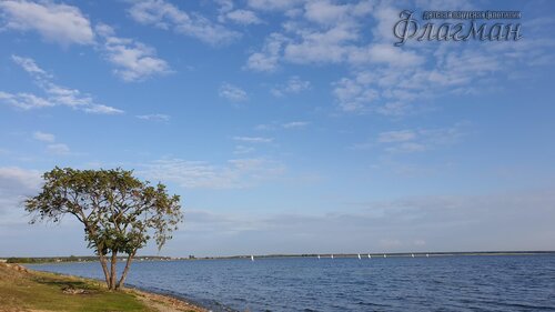490_20190804_190412_r