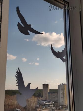 Сергеев Даниил