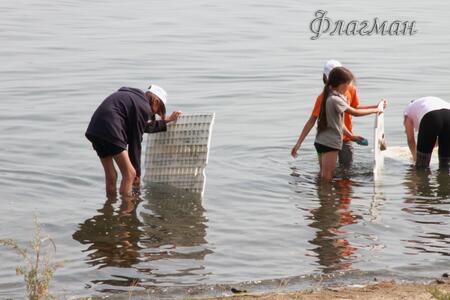 Тельминов Даниил