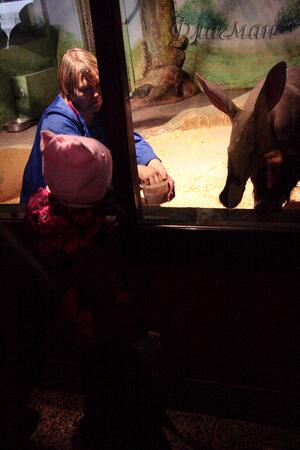 Витя Кононенко