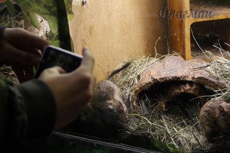 Ксения Плотникова