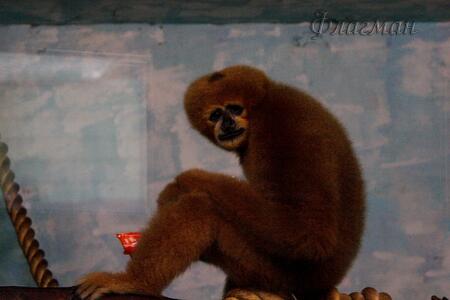 Ксения Плотникова