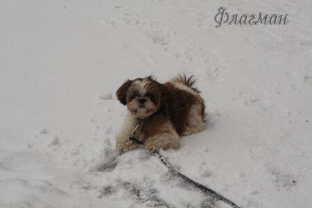 Ксения Плотникова