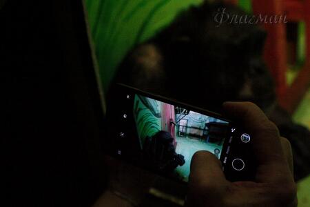 Плотникова