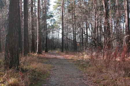 Горбачёва Алиса