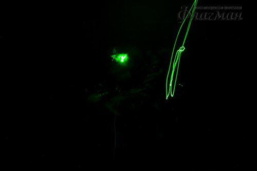 IMG_7880