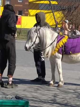 Горбачёва Алиса