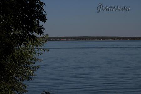 Данил Тельминов