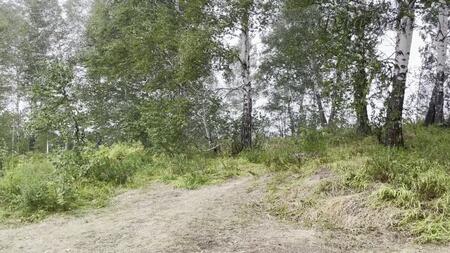 Остров сокровищ 25.09.2022