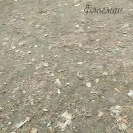 VID_20230328_133857