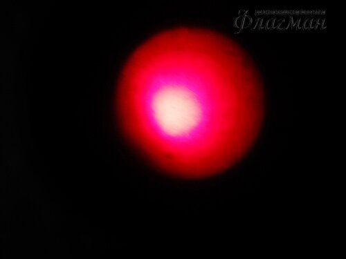 DSCN2361