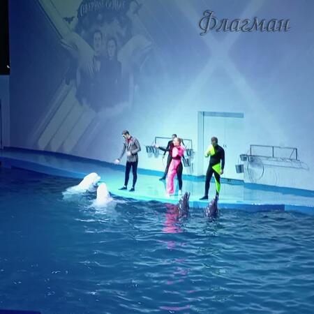 Осенняя сказка дельфинариум 3