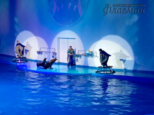 IMG_20231103_132011_768