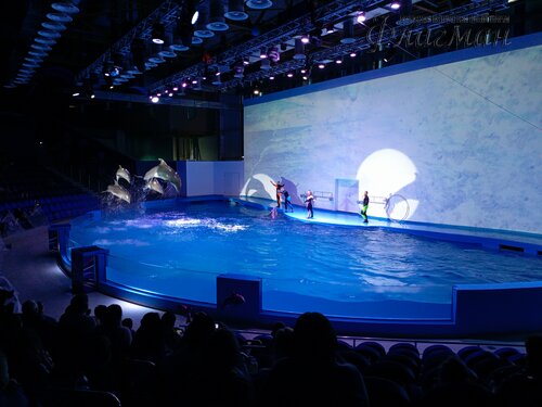 IMG_20231103_132131_280