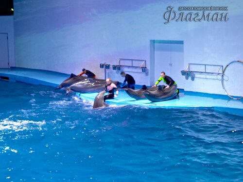 IMG_20231103_132239_195