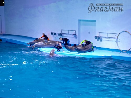 IMG_20231103_132240_382