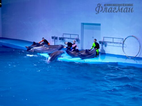 IMG_20231103_132243_524