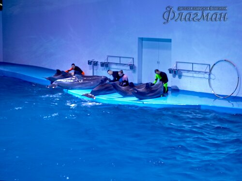 IMG_20231103_132244_956