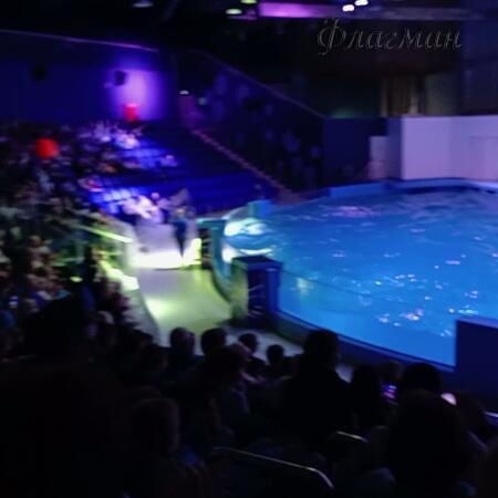 VID_20231103_121926