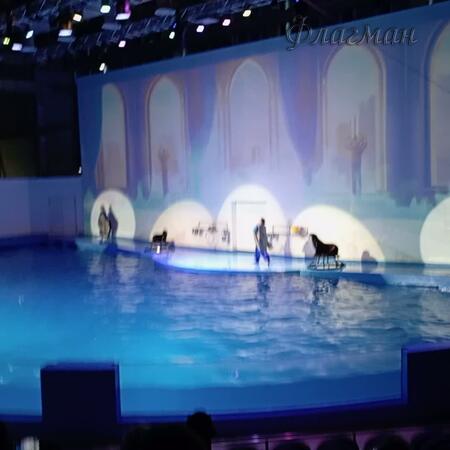 VID_20231103_131213