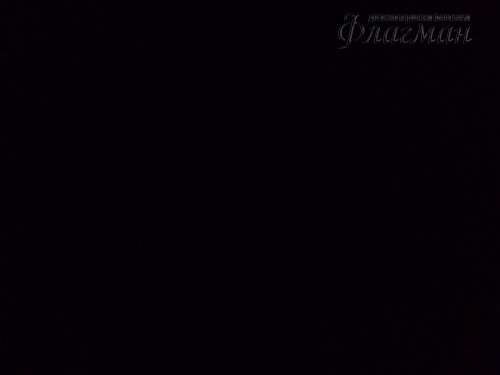 IMG_20231111_191225_990