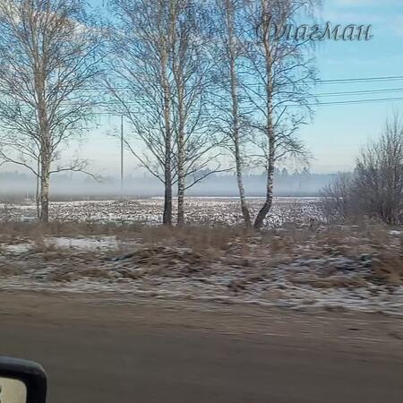 VID_20231117_100414