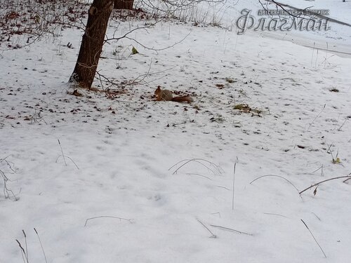 IMG_20231118_134035_977