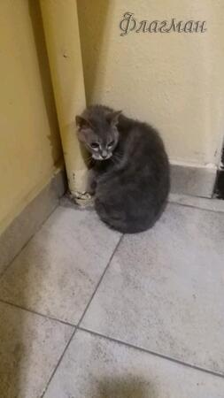 Вход