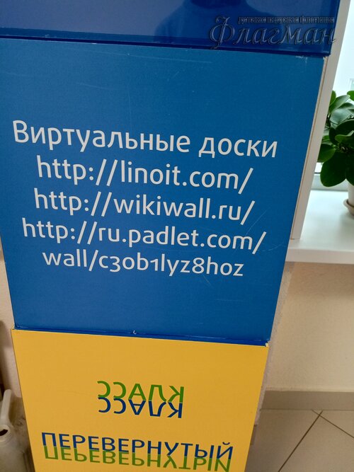 IMG_20240208_144546_309