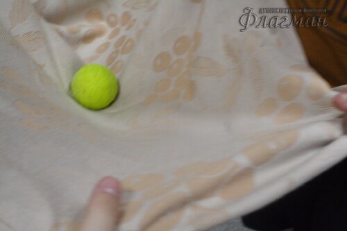 20240327_165503.IMG_0521