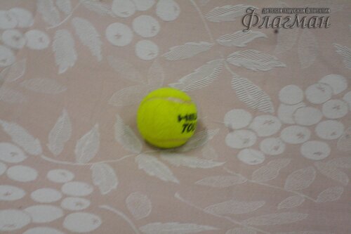 20240327_165514.IMG_0522