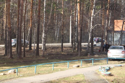 20240420_162558.IMG_6120