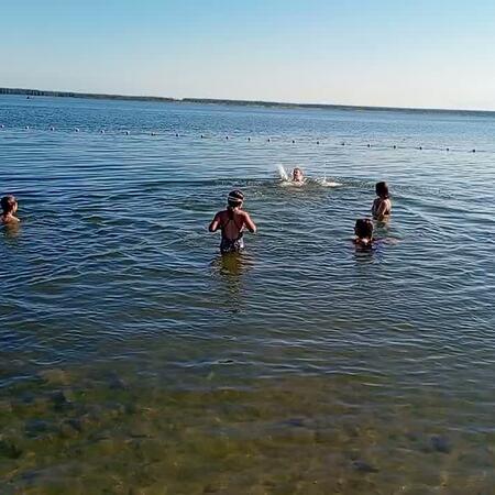 VID_20240806_084417