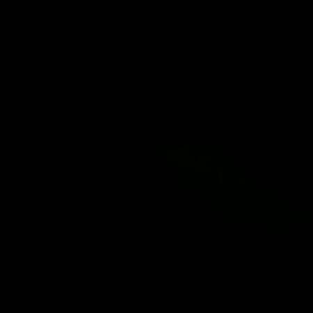 20241003_081222