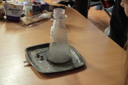 Арина Габдулина