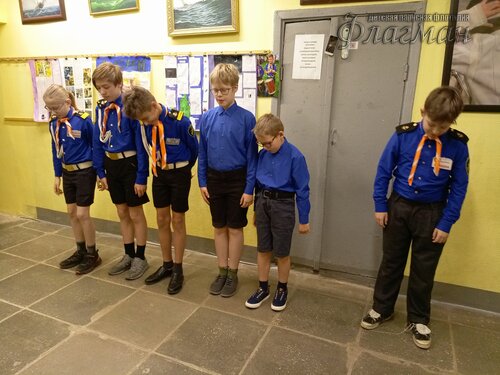 IMG_20241114_081139_658