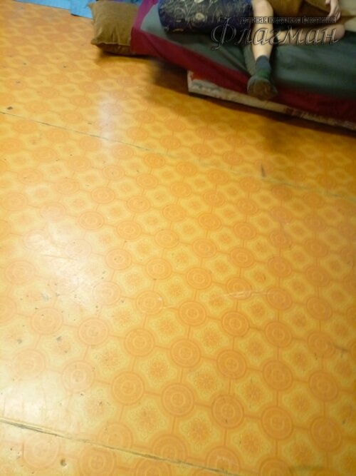 IMG_20241203_121540_134