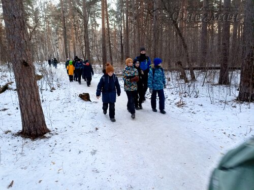 IMG_20241207_160403_999