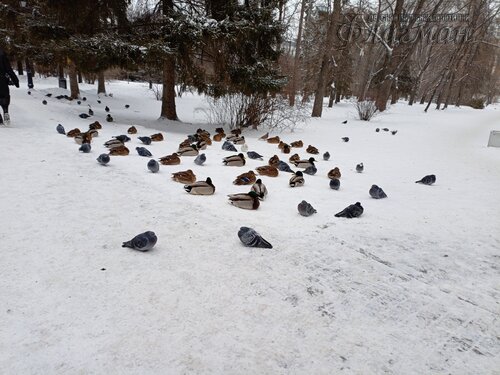 IMG_20241216_134357_082