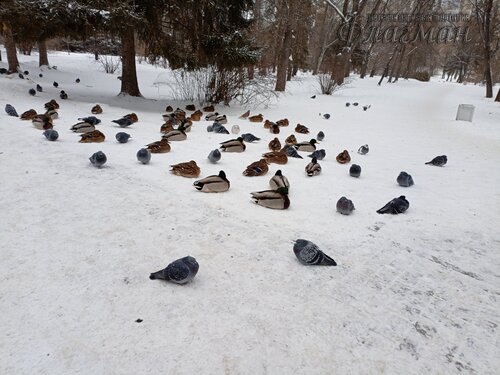 IMG_20241216_134357_787